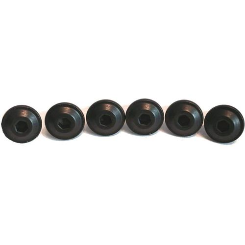 Windshield Screw Kit Black for Vision by Witchdoctors