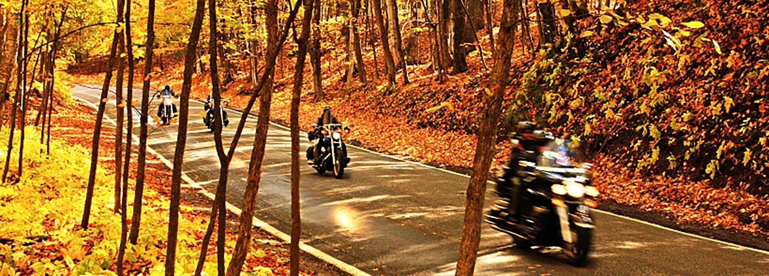 motorcycles riding in the fall on a windy road with autumn leaves on the trees