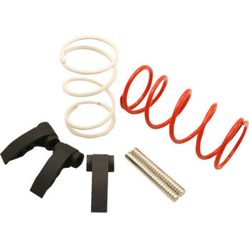 Polaris RZR Pro Clutch Kit R by Dynojet