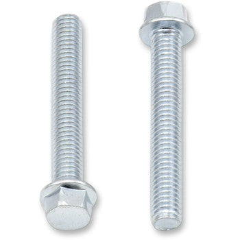 Set of two silver metallic M6 x 40 flange head bolts with full threading and hexagonal heads.