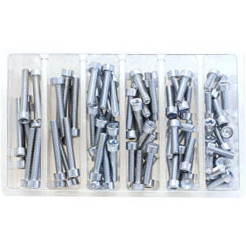 The Bolt Assortment Socket Allen by Bolt is a plastic organizer tray with multiple compartments of silver metal bolts and screws, neatly arranged in rows—ideal for motorcycle maintenance.