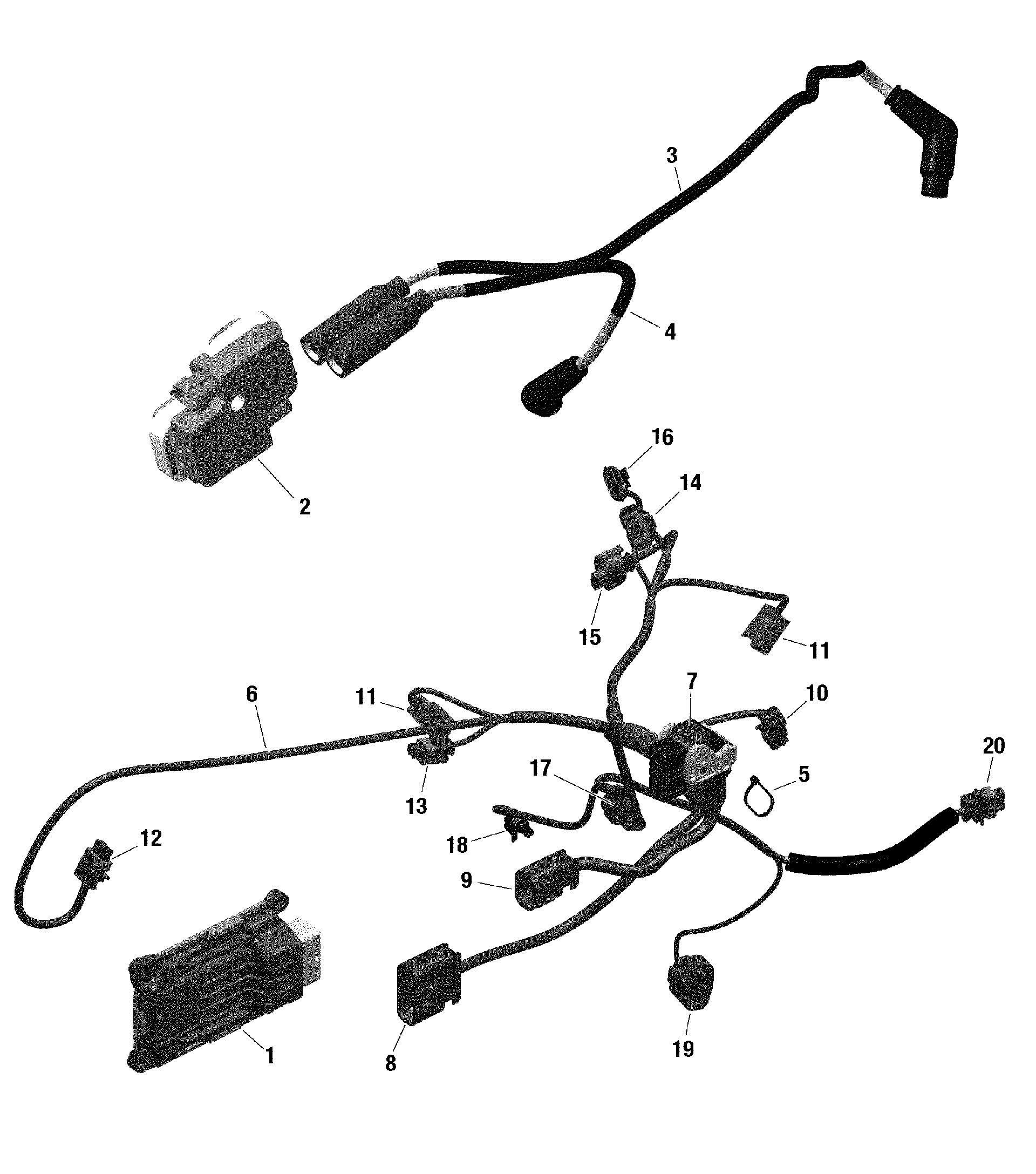 An Image of a Genuine Can-Am Parts Schematic Diagram showing the schematic - ROTAX - ENGINE HARNESS AND ELECTRONIC MODULE - 211