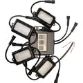 LED Rock Light Kit by Brite-Lites