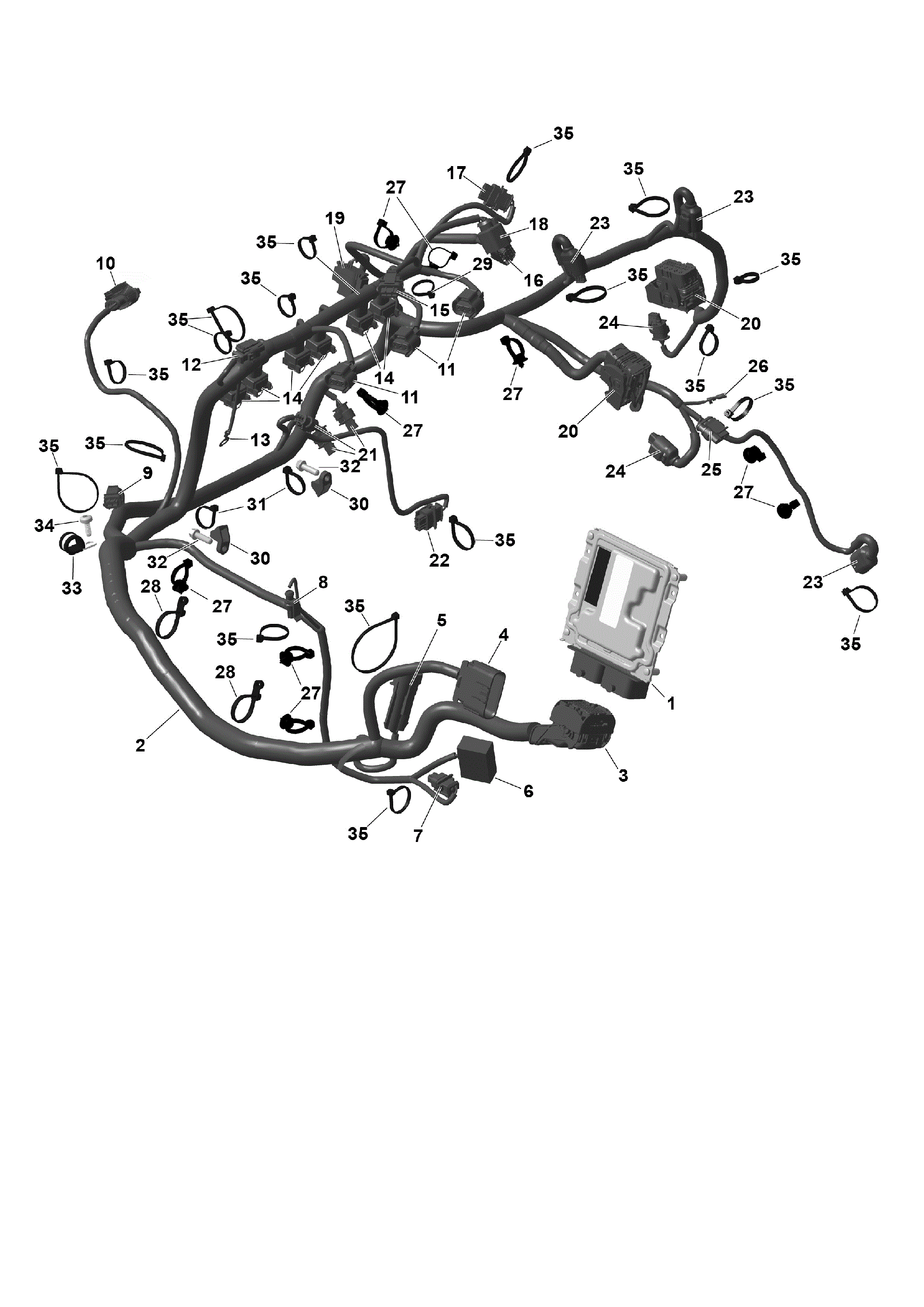 An Image of a Genuine Can-Am Parts Schematic Diagram showing the schematic - ROTAX - ENGINE HARNESS AND ELECTRONIC MODULE