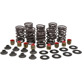 Polaris Valve Spring Kit 0." Lift High Performance by Kibblewhite