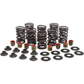 Polaris Valve Spring Kit 0." Lift High Performance by Kibblewhite