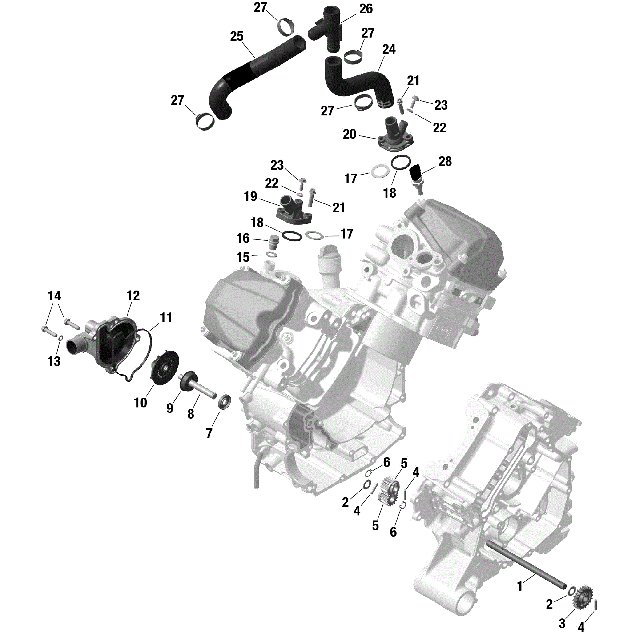 An Image of a Genuine Can-Am Parts Schematic Diagram showing the schematic - ROTAX - ENGINE COOLING