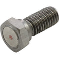 Speed Sensor Magnet Bolt M8 x P1.25 x 22.5 mm L by Koso North America