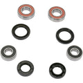 Honda TRX Wheel Bearing Kit Front by Pivot Works
