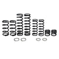 Polaris Dual Rate Spring Kit by ZBroz