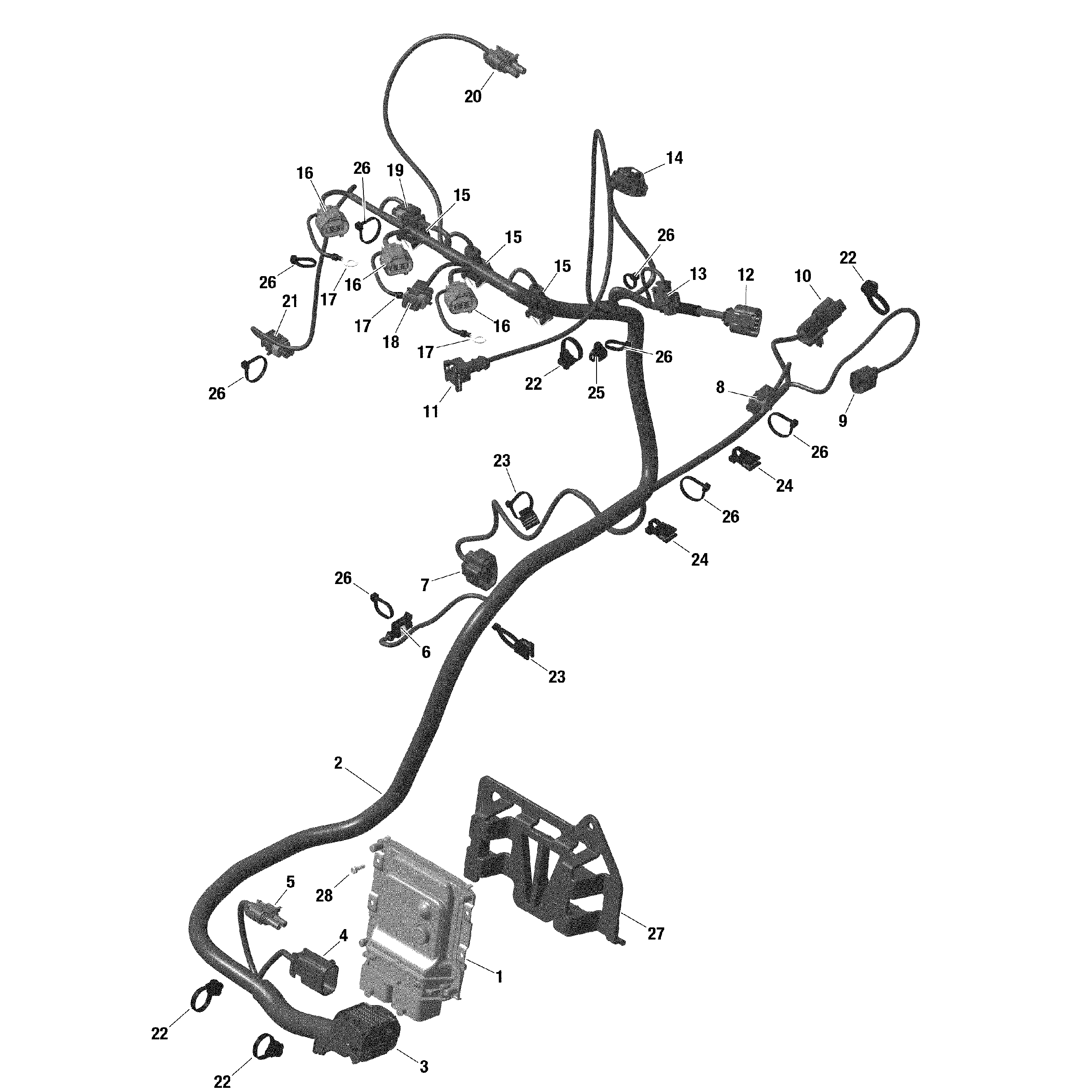 An Image of a Genuine Can-Am Parts Schematic Diagram showing the schematic - ROTAX - ENGINE HARNESS AND ELECTRONIC MODULE - TURBO RR