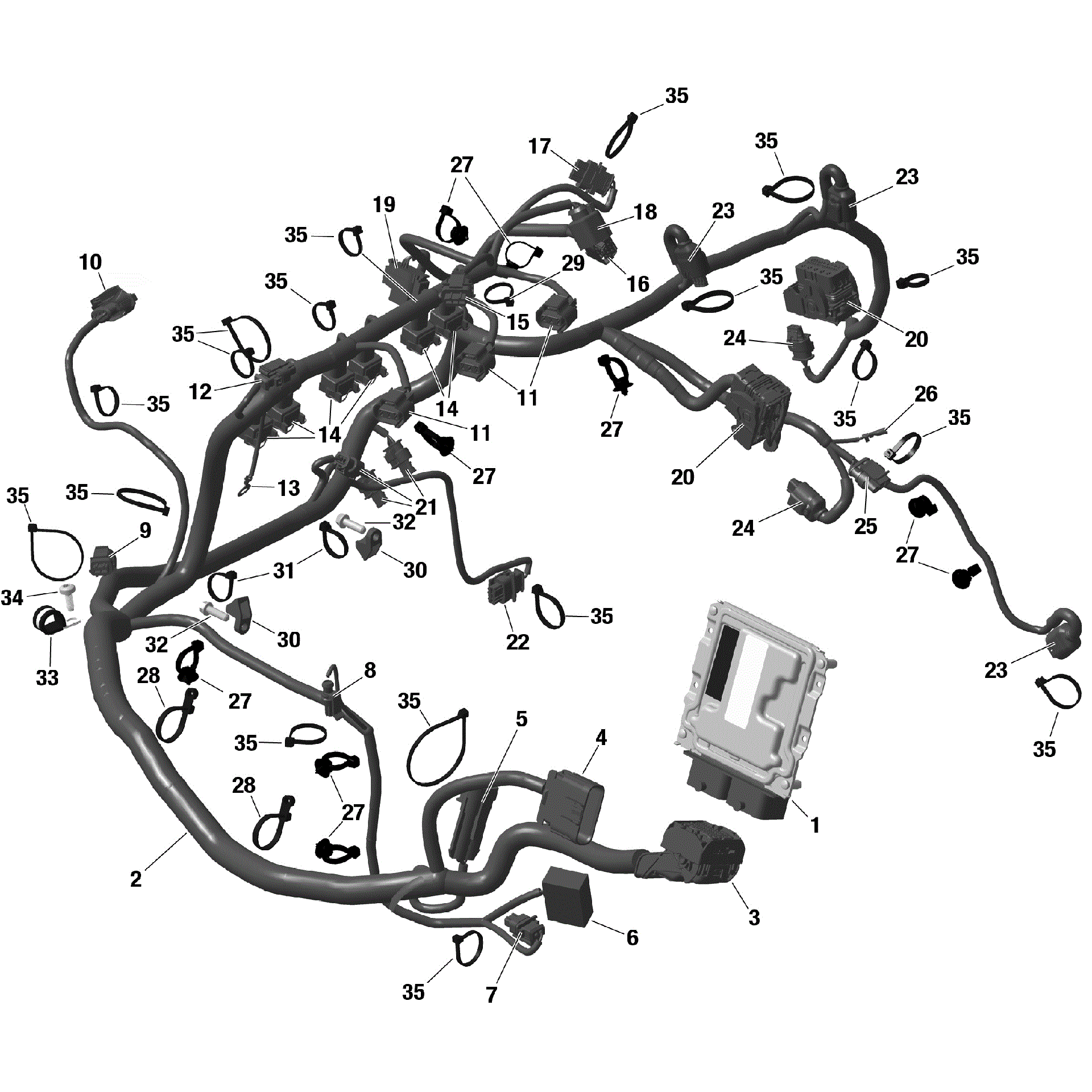 An Image of a Genuine Can-Am Parts Schematic Diagram showing the schematic - ROTAX - ENGINE HARNESS AND ELECTRONIC MODULE