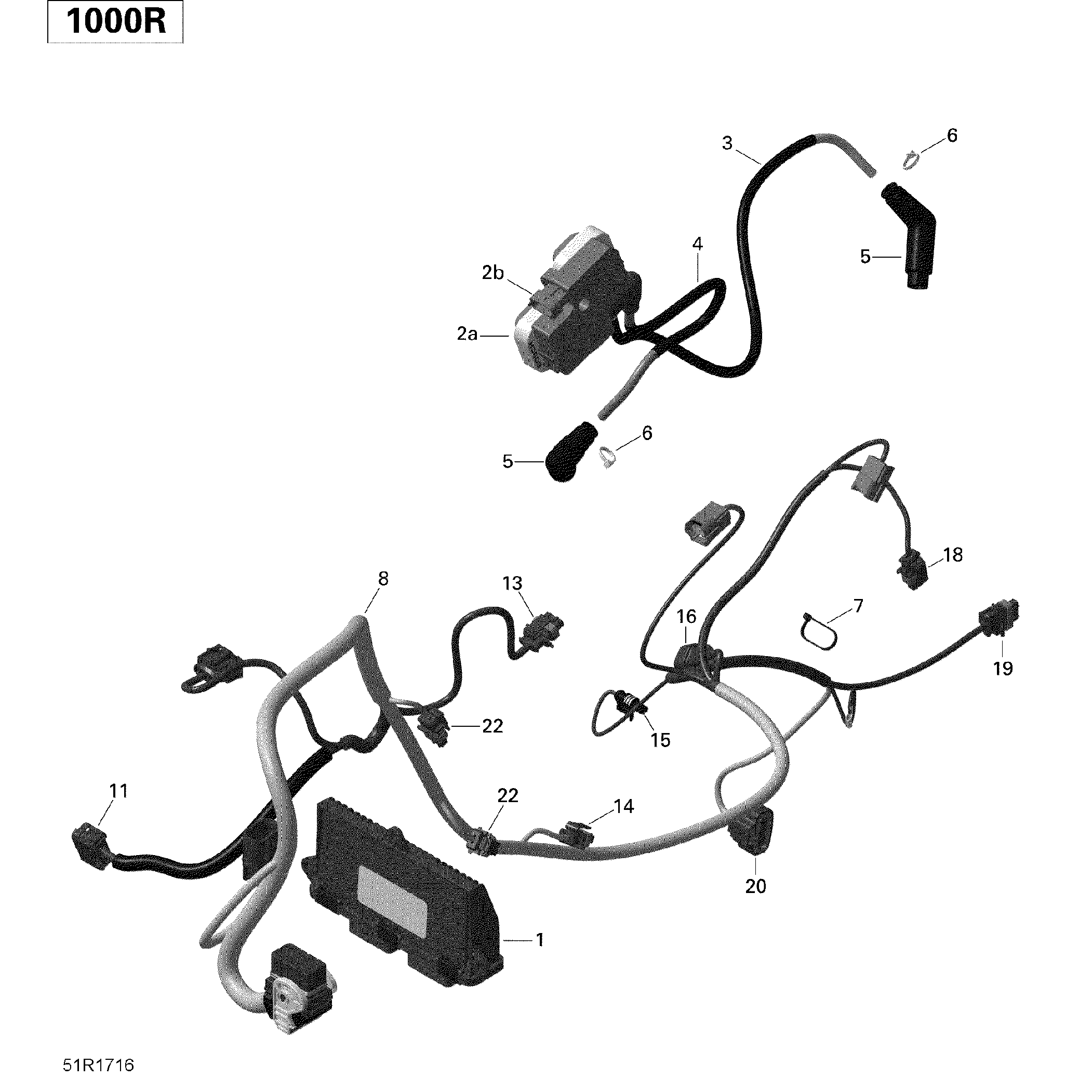 An Image of a Genuine Can-Am Parts Schematic Diagram showing the schematic - ENGINE HARNESS AND ELECTRONIC MODULE - COMMANDER 1000R