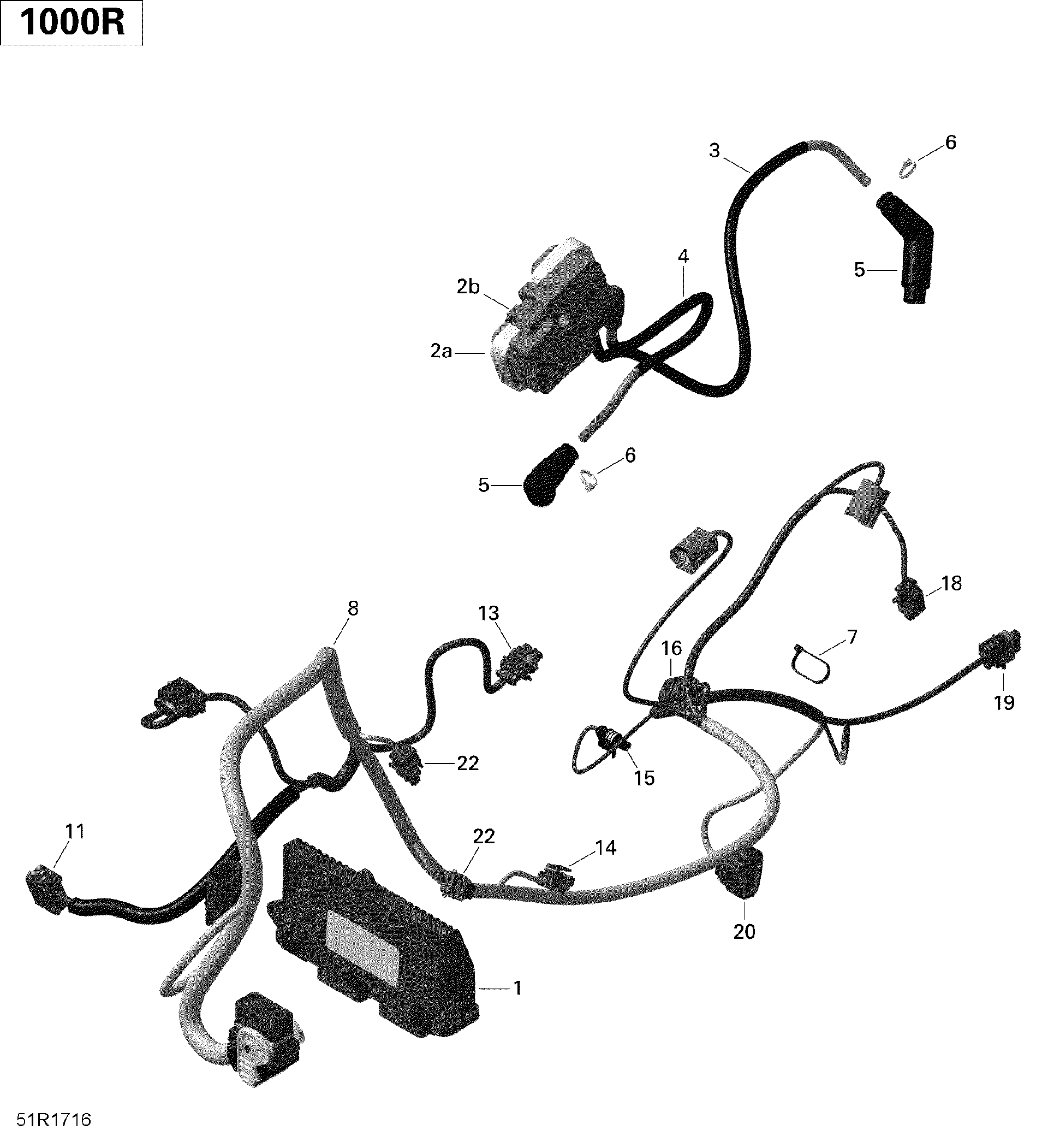 An Image of a Genuine Can-Am Parts Schematic Diagram showing the schematic - ENGINE HARNESS AND ELECTRONIC MODULE - MAVERICK 1000R