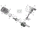 ROTAX - CRANKSHAFT PISTONS AND CYLINDER - 2023 CAN AM OUTLANDER 570 EFI MR