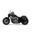 10L - Outlaw Quick-Mount Small Indian Super Chief Limited (2022+) Hard Solo Saddlebag (Left Only) by Viking Bags 31212 Saddlebag