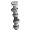 Camshaft 2Cylinder by Polaris