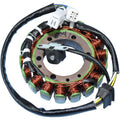 Suzuki Stator by Rick's Motorsport Electric