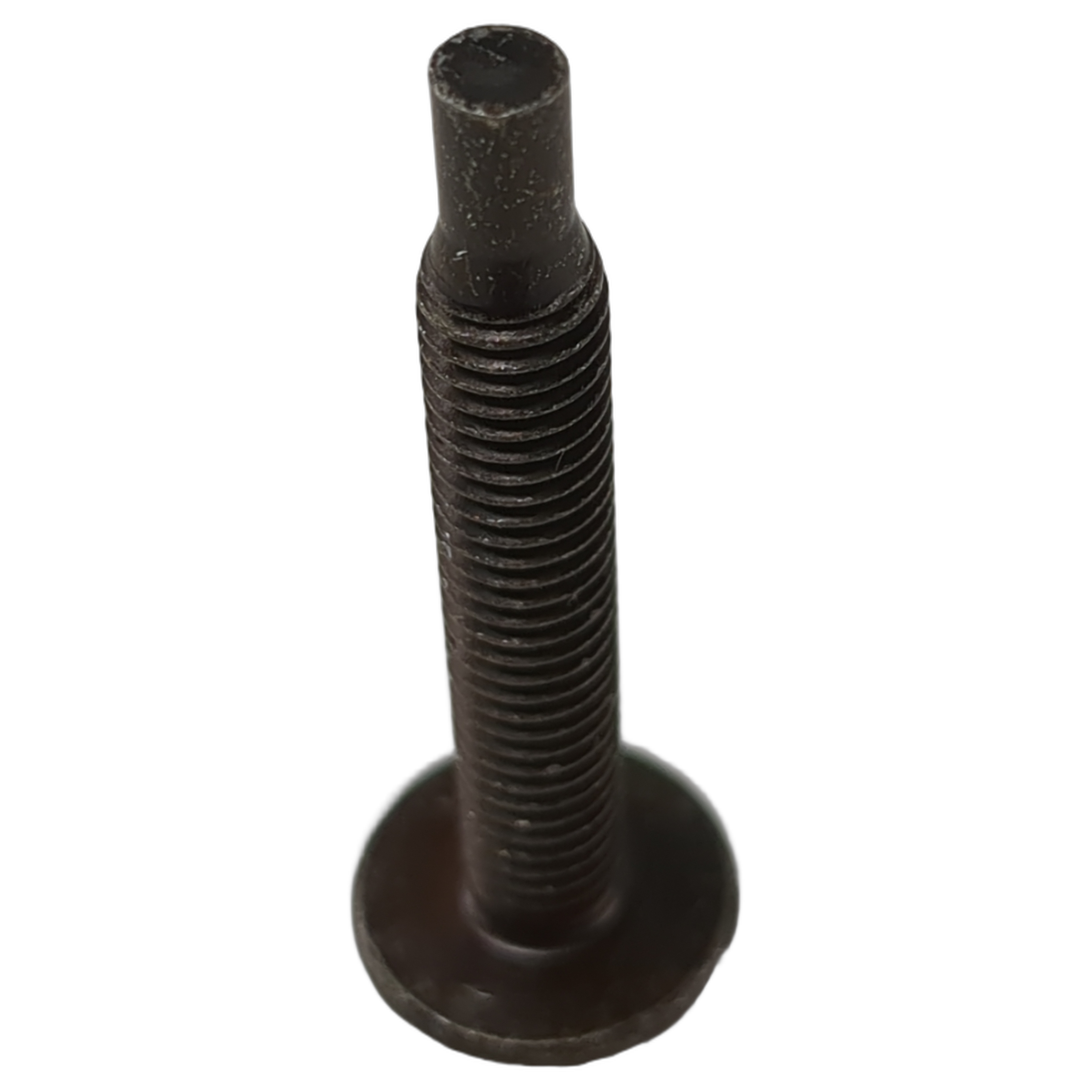 Black metal screw with a dog-point tip and threaded shaft, flat wide head.