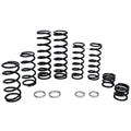 Polaris Dual Rate Spring Kit by ZBroz