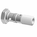 Silver metal banjo bolt with a hexagonal head, threaded shaft, and two fluid holes.