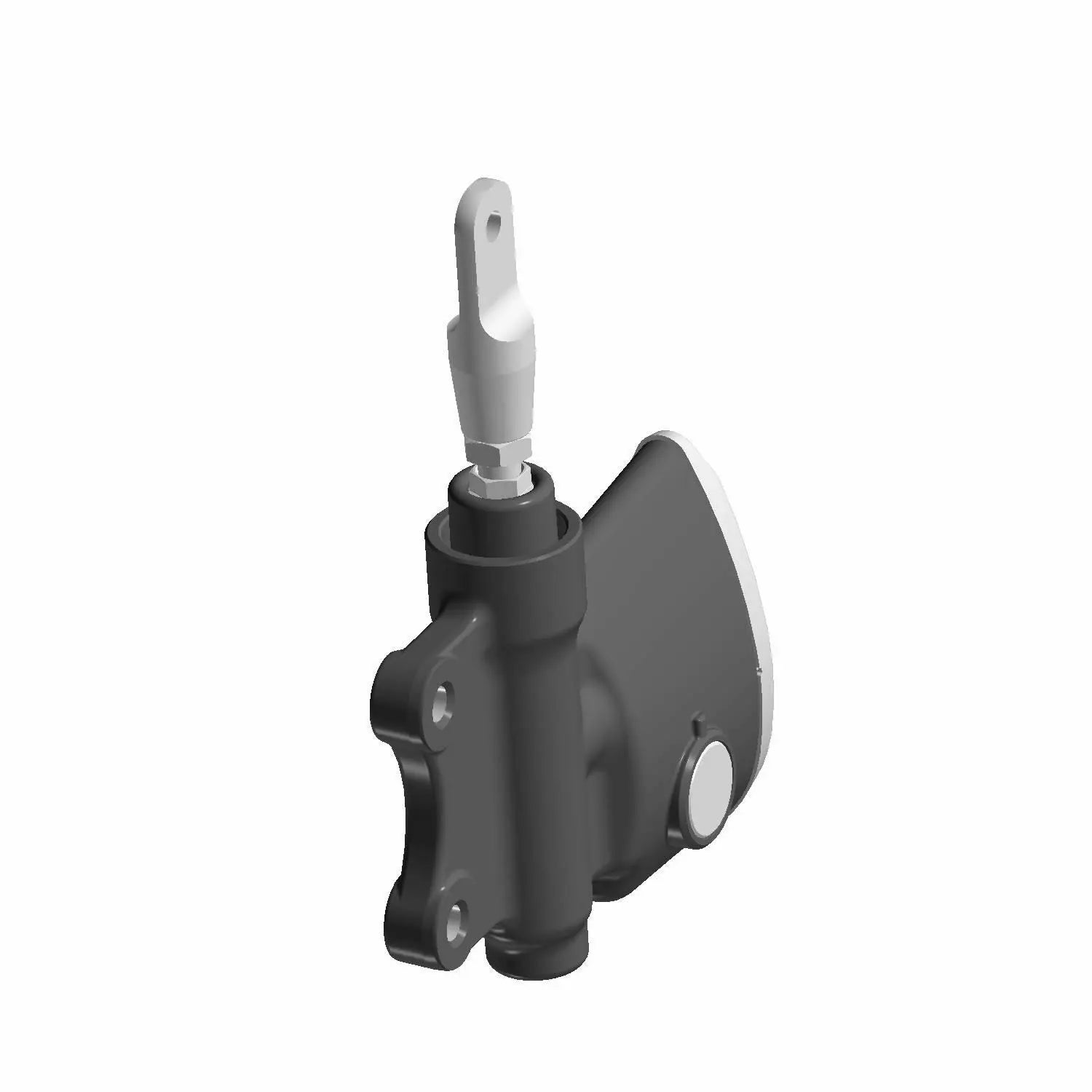 Rear Master Cylinder,15.8Mm,Black (Incl. 1,2) by Indian