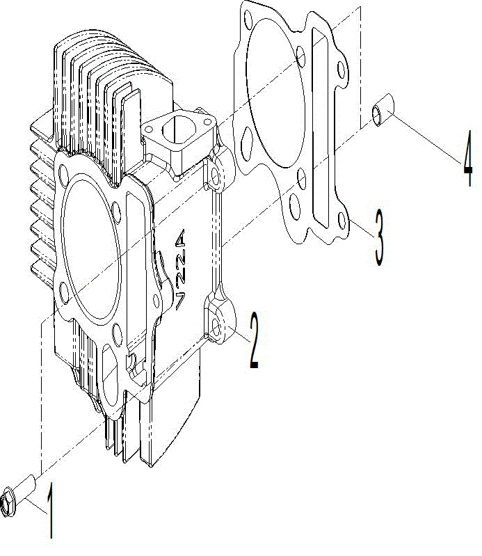 An Image of a Genuine Can-Am Parts Schematic Diagram showing the schematic - ENGINE - CYLINDER