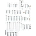 Honda TRX R Engine Fastener Kit by Bolt