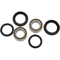 Honda TRX Wheel Bearing Kit Front by Pivot Works