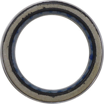 Silver metal clutch bearing with black inner seal and visible ball bearings inside.