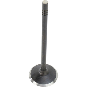 Metal intake valve with a long slender stem and a flat circular base, dark gray finish.
