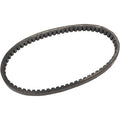 T.C. Belt by Comet
