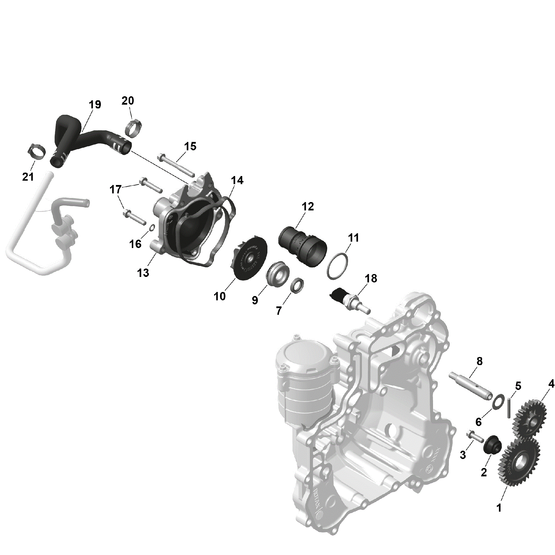 An Image of a Genuine Can-Am Parts Schematic Diagram showing the schematic - ROTAX - ENGINE COOLING