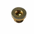A close-up of the Fill Level Plug by Can-Am, a metallic hexagonal socket plug screw with a wide flange, shown against a white background—perfect as an OEM replacement for Can-Am UTV parts and accessories.
