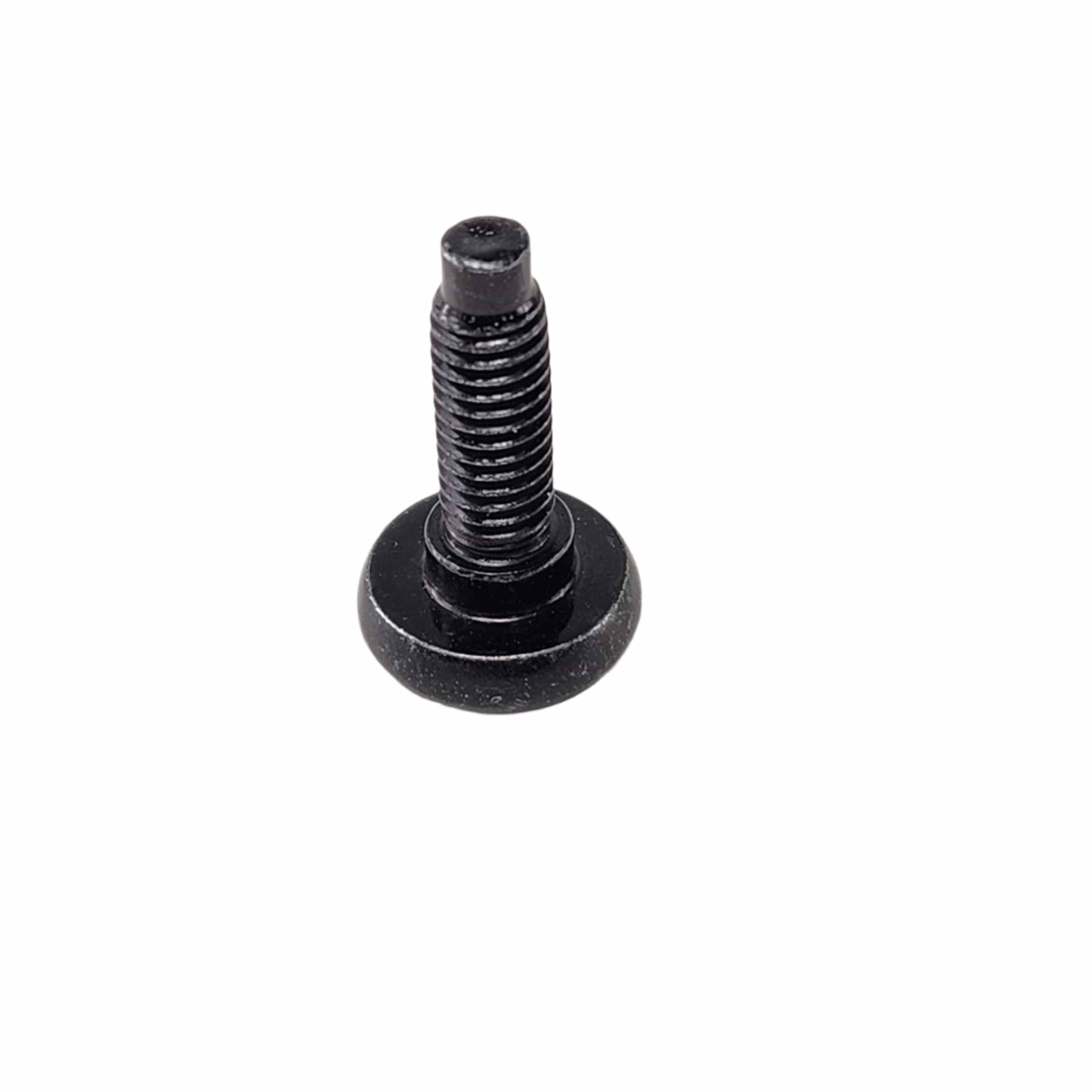 Torx Button Head Screw, M6X1.0X15 by Indian Witchdoctors