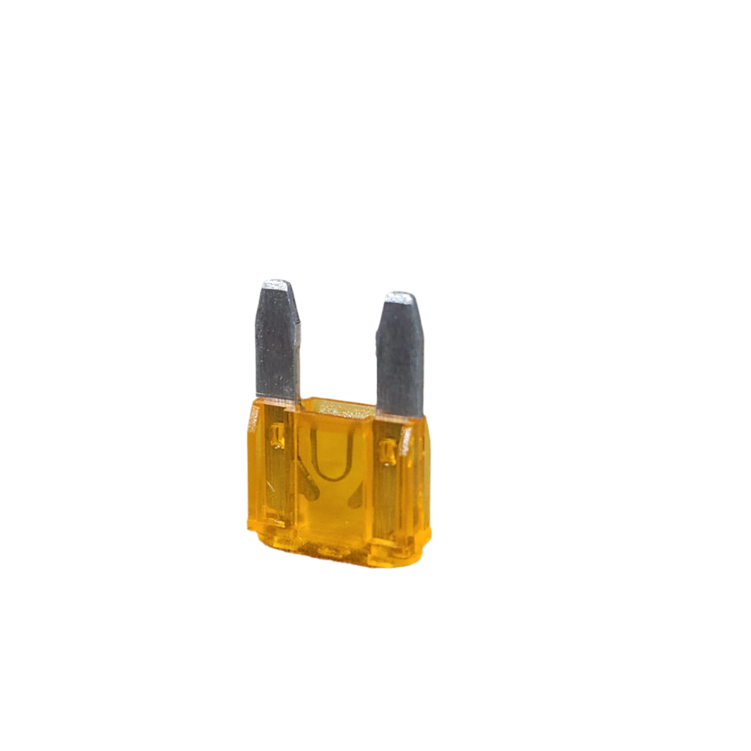 Fuse, 5 Amp by Polaris Witchdoctors