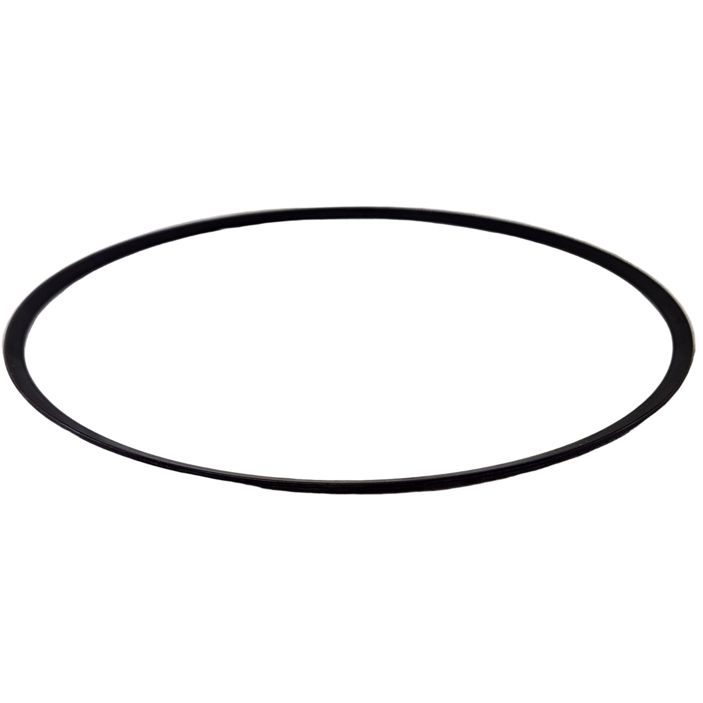 The Clutch Judder Spring by Polaris, a thin black circular O-ring gasket ideal for OEM Indian Polaris Spring Judder Clutch repairs, is shown against a white background.