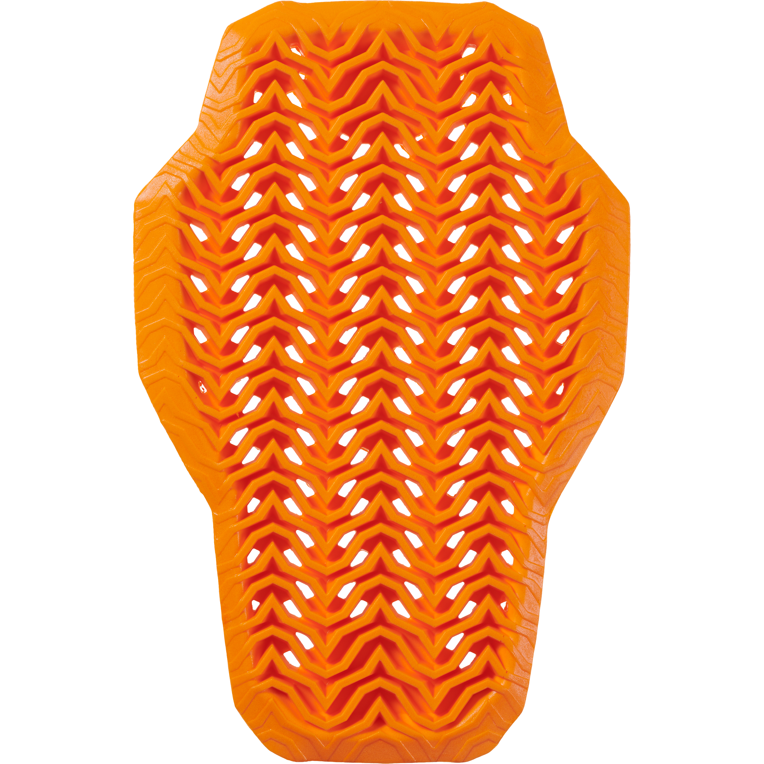 D30 Viper Air Protector L2 Back Lg by RST