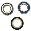 Steering Stem Bearing and Seal Kit for Indian FTR by All Balls