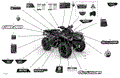BODY - DECALS - MOSSY OAK EDITION - 2021 CAN AM OUTLANDER 570 EFI / DPS / XT / MOSSY OAK EDITION