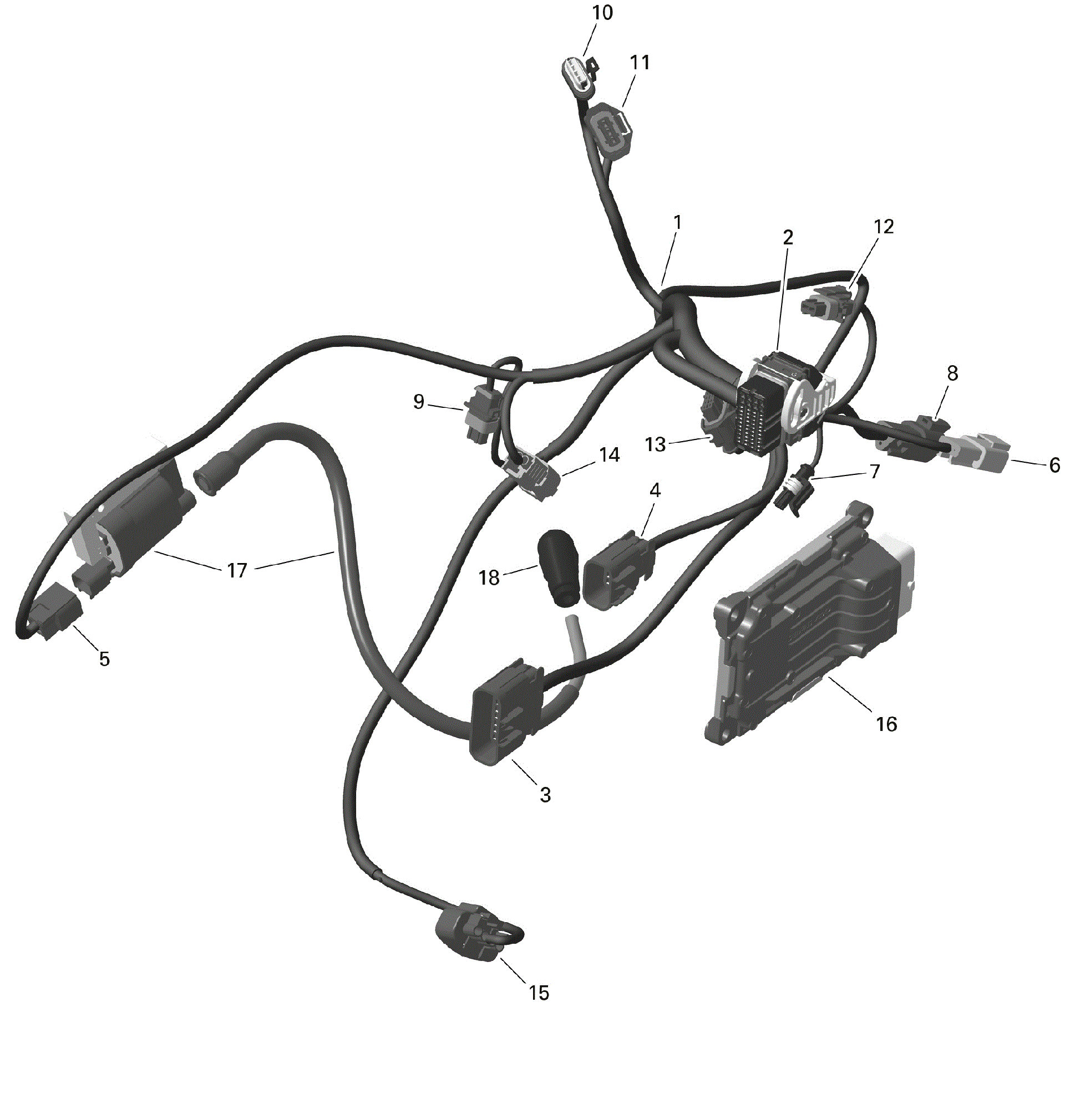 An Image of a Genuine Can-Am Parts Schematic Diagram showing the schematic - ROTAX - ENGINE HARNESS AND ELECTRONIC MODULE