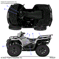 BODY: DECALS GRAPHIC - 2023 POLARIS SPORTSMAN 570 TRAIL EBS LE RC