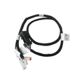 Tail Light Harness by Indian