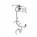 Chassis Harness by Polaris