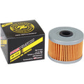 Replacement Oil Filter by Pro Filter