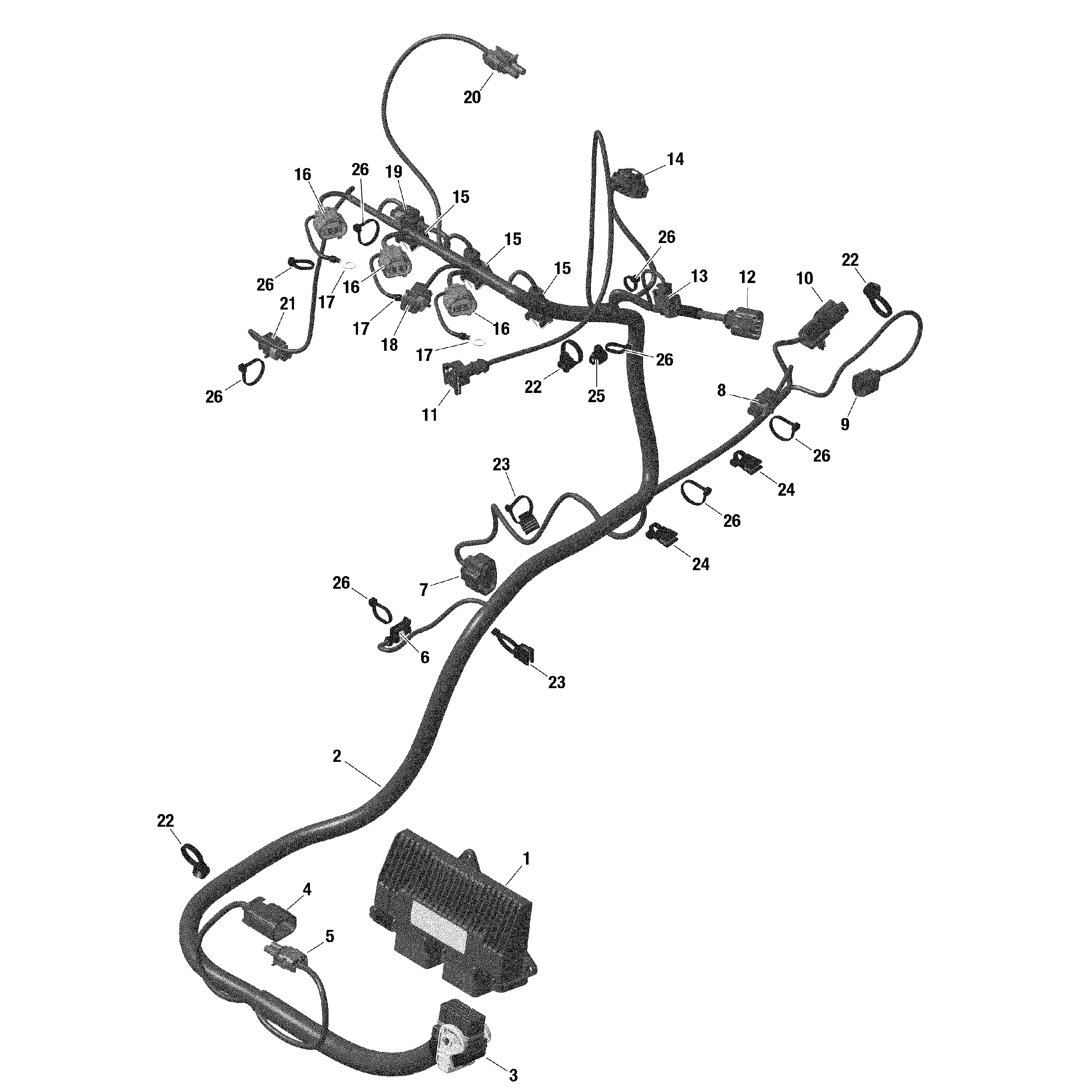 An Image of a Genuine Can-Am Parts Schematic Diagram showing the schematic - ROTAX - ENGINE HARNESS AND ELECTRONIC MODULE - TURBO - TURBO R