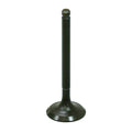 Polaris Outlaw 90/Sportsman 90 Intake Valve by Bronco