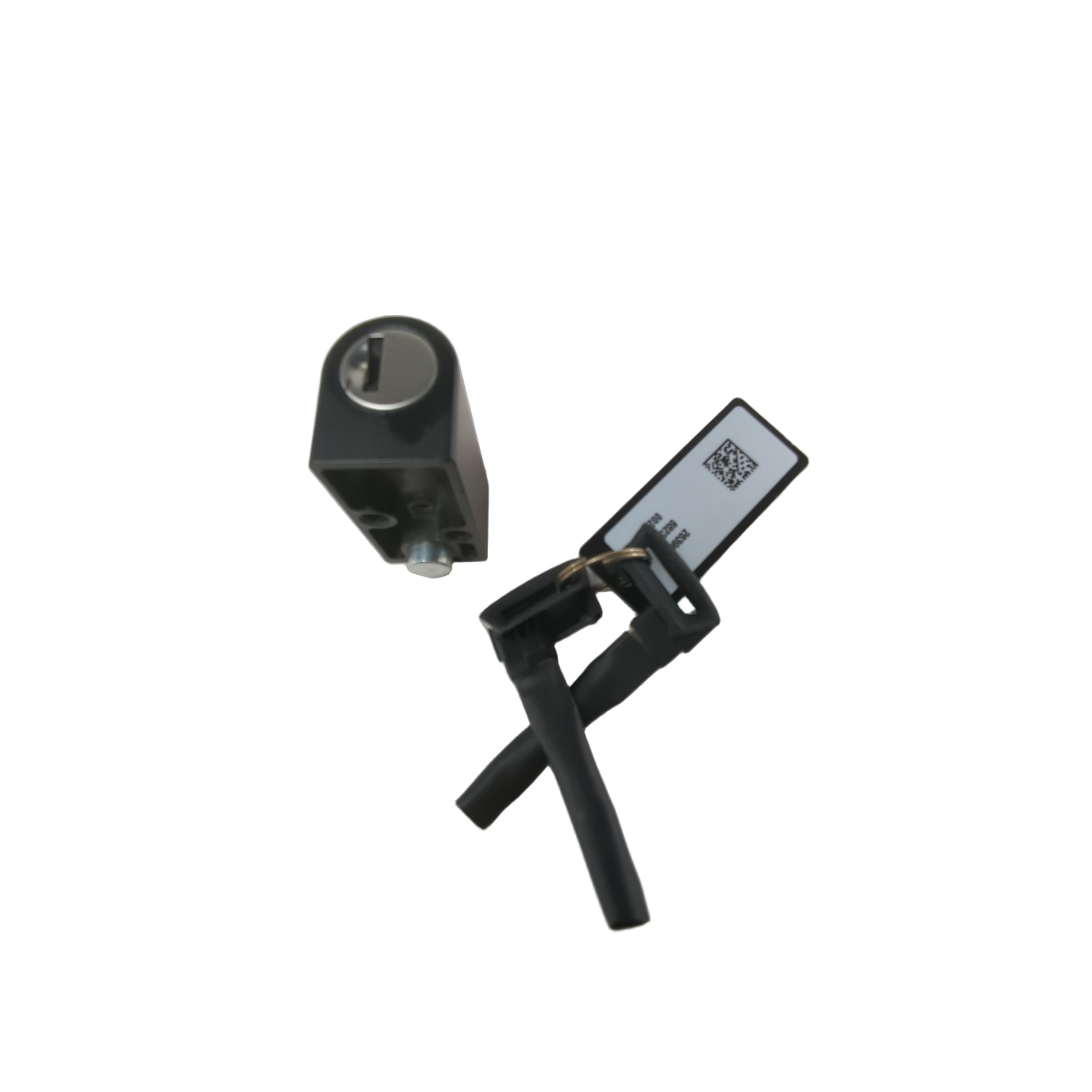 Steering Lock Key Fob [Intl] [Includes Lock And Keys] [For Keyless Bikes With Steering Lock Equipped] by Indian