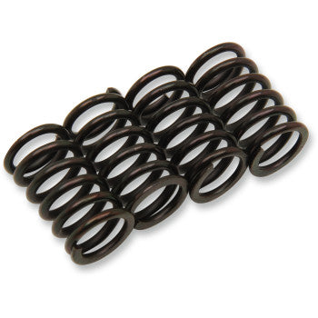 Clutch Spring Kit by Barnett