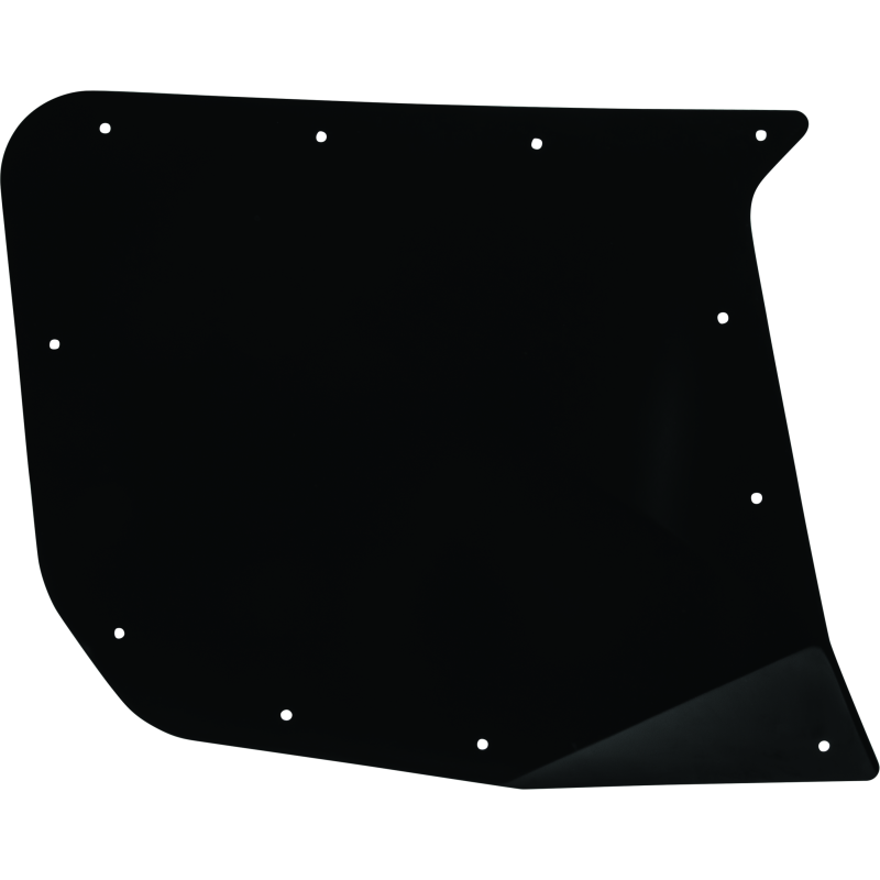 DragonFire Racing Rear Driver Side Door Skin For 521065